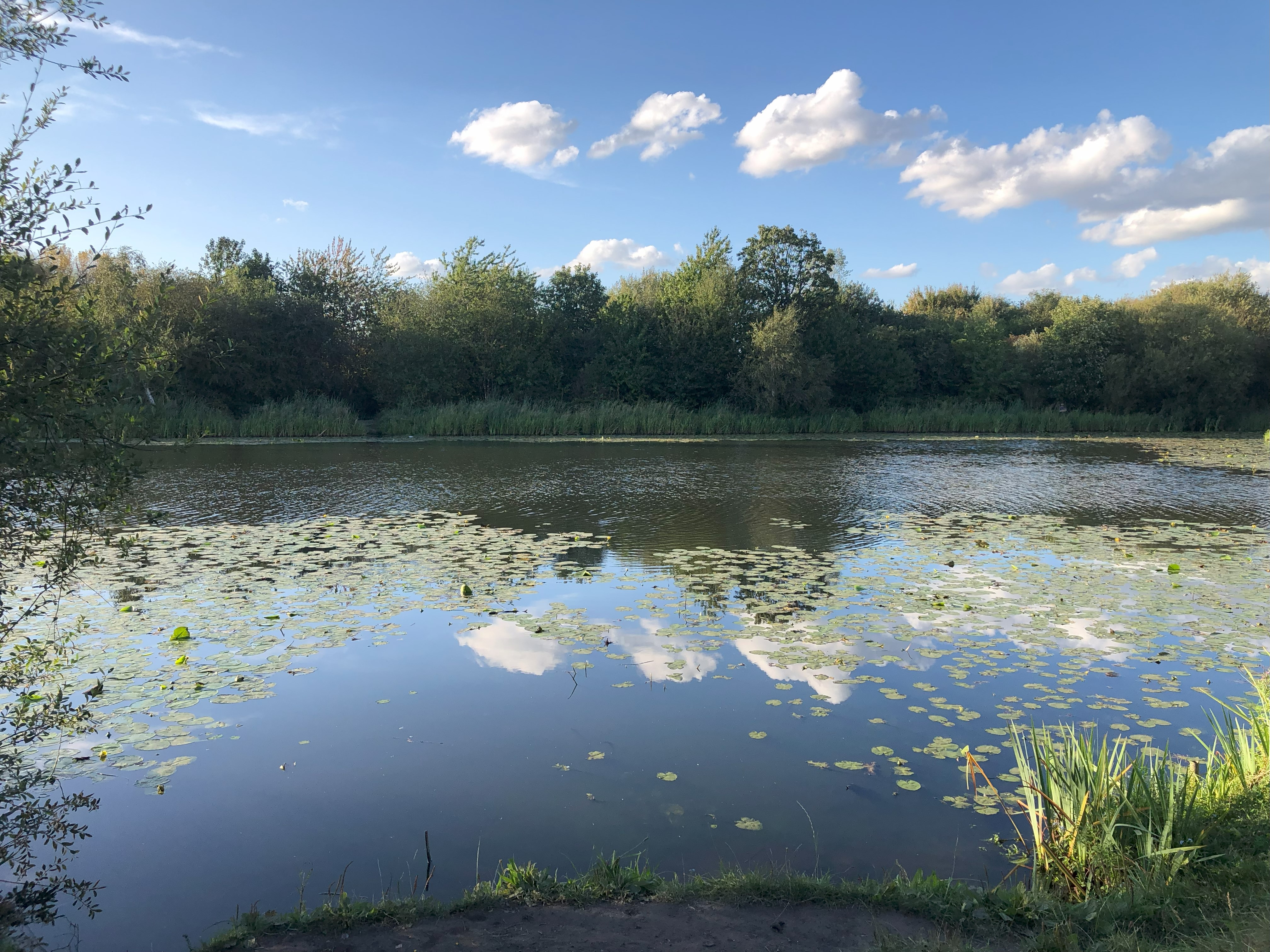 A colour photo of the Secret Lakes in Levenshulme. The sky is reflecting off the lake